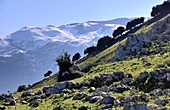 Berglandschaft bei Isnello im La Madonien bei Cefalu, Sizilien, Italien