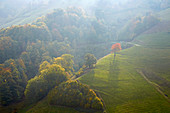 Herbst im Obermünstertal, Südlicher Schwarzwald, Baden-Württemberg, Deutschland, Europa