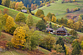 Bauernhöfe im Obermünstertal, Herbst, Südlicher Schwarzwald, Baden-Württemberg, Deutschland, Europa