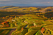 View of vineyards, Oberrotweil (right rear) and Burkheim (left rear) and the Vosges, Kaiserstuhl, Breisgau, Baden-W? Rttemberg, Germany, Europe
