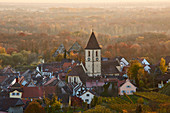 View of Burkheim with castle (Neues Schlo ?, Schwendi - Schlo?) And church, vineyards, Kaiserstuhl, Baden-W? Rttemberg, Germany, Europe