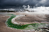 Norris Geyser Basin with approaching storm clouds\nYellowstone National Park\nWyoming. USA\nLA006839