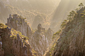 Kiefern und Berge, Yellow Montains, Huangshan, Provinz Anhui, China LA008457