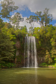Millaa Millaa Wasserfall, Atherton Tablelands, Queensland, Australien LA009352