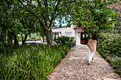 Jordan Wine Estate, Stellenbosch, Cape Winelands, Südafrika, Afrika