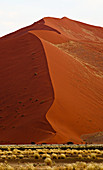 Namibia - 16. April 2009: Hohe Sanddünen im Namib-Naukluft-Nationalpark bei Sonnenaufgang