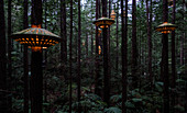 Rotorua, Neuseeland - 11. November 2017: Außenbeleuchtung durch David Trubridge im Redwoods Treewalk. Besucher können nachts den Redwood-Wald von Rotorua unter der Beleuchtungsanlage David Trubridge mit insgesamt 30 Laternen erkunden.