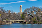 Brücke im Central Park, New York City, USA