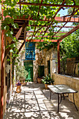 Vorgarten mit Weinreben in Seitengasse in Chania, Nordwesten Kreta, Griechenland