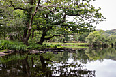 Muckross Lake, Killarney National Park, County Kerry, Ireland, Europe
