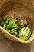Tropical fruits in a basket, Blue Safari, Mida Creek, Watamu, Malindi, Kenya