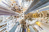 Blick nach oben in der Sagrada Familia, Antoni Gaudis architektonischen Meisterwerk in Barcelona, Spanien