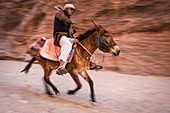 Beduine reitet mit seinem Esel durch die alten Straßen von Petra, Jordanien