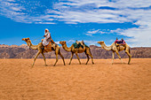 Ein Berber reitet mit seinen Kamelen durch das Wadi Rum in Jordanien