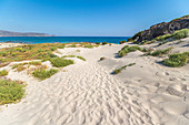 Sand dunes on Elafonisi peninsula on Elafonissi beach with pink sand, southwest Crete, Greece