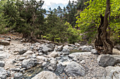 Flusslauf bei Abstieg auf der Samaria Schlucht Wanderung, Westen Kreta, Griechenland