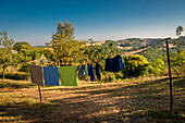 Laundry on a line, Buonconvento, Tuscany, Italy