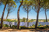 Wäsche auf einer Leine, Buonconvento, Toskana, Italien