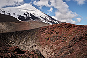 the snow-capped summit of the Osorno volcano, Region de los Lagos, Chile, South America