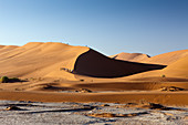 Tourists climb Big Daddy Dune, Namib Naukluft Park, Namibia