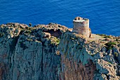 France, Corse du Sud, Golfe de Porto, listed as World Heritage by UNESCO, the Capo Rosso and the Genovese Tower of Turghiu (Turghio) in the background (aerial view)