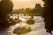 Frankreich, Paris, Stadtgebiet, UNESCO Weltkulturerbe, Flussboote passieren die Brücke Pont des Arts (Brücke der Künste)