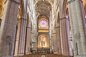 Frankreich, Aveyron, Rodez, Kathedrale Notre Dame, 12.-16. Jahrhundert