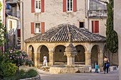 France, Drome, Mollans-sur-Ouveze, the fountain and the wash house