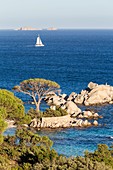 France, Corse du Sud, Porto Vecchio, Palombaggia, granite rocks of beach of Tamaricciu