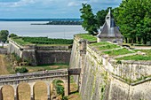 France, Gironde, stage on the way of Santiago de Compostela, the Citadel, Fortifications of Vauban, UNESCO World Heritage Site, the Royal Gate, the Gironde estuary in the background