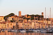 Frankreich, Alpes-Maritimes, Cannes, Stadtteil Le Suquet, alter Hafen, Fassade der Häuser des Kais Saint-Pierre, im Hintergrund der Turm von Suquet