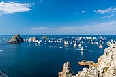 France, Finistere, Brest, Brest 2016 International Maritime Festival, large gathering of traditional boats from around the world, every four years for a week, race between Brest and Douarnenez, view from the Pointe de Pen Hir