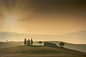 Bäume und Gebäude auf einem Hügel in der Toskana, Italien