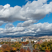 Autumn trees by road in city