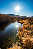 River by autumn trees