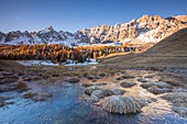 Frankreich, Hautes-Alpes, Regionaler Naturpark Queyras, Ceillac, Soubeyrand, Wiesensee oder Lac Miroir (2214m), dominiert von den Pics de la Font Sancte (3385m) und der Crête des Veyrés (3000m)