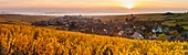 France, Haut Rhin, Route des Vins d'Alsace, Hunawihr labelled Les Plus Beaux Villages de France (One of the most beautiful villages of France), Sainte Hune church and vineyard