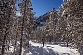 France, Hautes Pyrenees, Parc National des Pyrenees (Pyrenees National Park), Cirque de Gavarnie, listed as World Heritage by UNESCO, snowshoeing