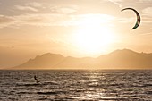 France, Alpes-Maritimes, Cannes, Cap de la Croiseete, kite foiling at sunset, in background Massif of Esterel