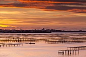 Frankreich, Hérault, Sète, Etang de Thau (Thau-See) und die Stadt Sète im Hintergrund