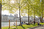 Frankreich, Paris, UNESCO-Weltkulturerbegebiet, Parc Rives de Seine, Neubau der Uferpromenaden, am 02.04.2017 eingeweiht