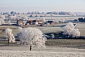 Frankreich, Saône-et-Loire, Region Brionnais, Dorf Oyé im Winter
