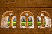 France, Var, Thoronet, Cistercian abbey of the Thoronet built in XIIth and XIIIth centuries, arches geminated by the cloister with leaky tympanum of a simple oculus