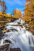 France, Hautes Alpes, Brianconnais in fall, Claree valley, Fontcouverte hamlet, Fontcouverte waterfall