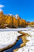 France, Hautes Alpes, Brianconnais in fall, Claree valley, Cerces massif