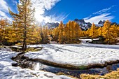 France, Hautes Alpes, Brianconnais in fall, Claree valley, Cerces massif