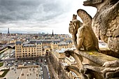 France, Paris, area listed as World Heritage by UNESCO, Notre Dame de Paris, view from the gargoyles