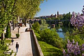 Frankreich, Tarn-et-Garonne, Montauban, Ufer des Flusses Tarn