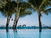 Infinity pool with sea view, luxury resort, Kokomo Private Island, Fiji, Oceania