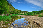 Donauversickerung bei Immendingen, Immendingen, Donau-Radweg, Baden-Württemberg, Deutschland